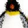 Marcos Afonso's profile picture