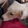 pat's profile picture