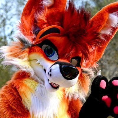 Purrfessor Zuka the Firefox. Jake P Loss๐ฅ's profile picture