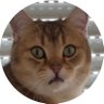 Фото профиля Cat likes Investing 🐈 💎