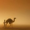 ashraf Almasry's profile picture