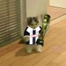 David's profile picture