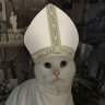 Jair (41/45) 🦁🇻🇦 的头像