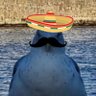 IMaxwellI's profile picture