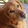Barbara⁉ profil fotoğrafı
