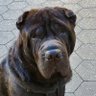 Profilbild von James Lee