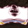 Sirayar's profile picture