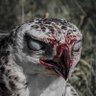 klout ツ profil fotoğrafı