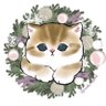 ハムたそ🐹's profile picture