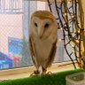 あみ profil fotoğrafı