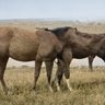 Фото профиля Aliana Johnson
