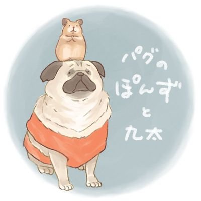 パグのぽんず's profile picture