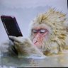 PABLO ANTONIO 's profile picture