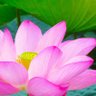 ミロク369 profil fotoğrafı