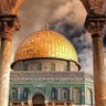 Фото профиля اسماء جلال