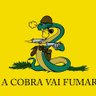 A COBRA VAI FUMAR's profile picture