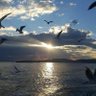 Amania ch profil fotoğrafı