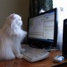 Systematic Trading Fun 🇨🇭 profil fotoğrafı