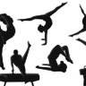 Фото профиля gymnastic coach