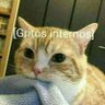 Arthur 🌎🇲🇽's profile picture