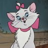 Amanda L. 🐺's profile picture