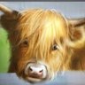 Profilbild von Teddy Jan 💙