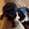 The Blind Man's profile picture
