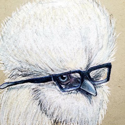 SuzytheSilkie's profile picture