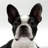 Profilbild von Dominic Garcia