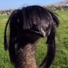 lex profil fotoğrafı