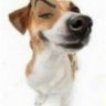 b's profile picture