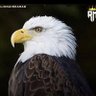 Фото профиля برهان