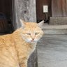 †草薙†2nd profil fotoğrafı