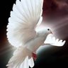 Фото профиля Amazing Grace 🙋🏻♀️🇺🇸 🇺🇸
