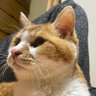 ずいざん profil fotoğrafı