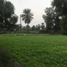 Profilbild von كويتي حر 🇰🇼