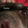 Jake Wards's profile picture
