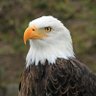 CRCThree's profile picture