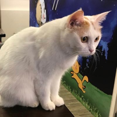 墜入凡間的美少年's profile picture