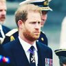 Royally Troubled profil fotoğrafı