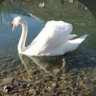 🦢Mar 🦇🇪🇸 的头像