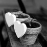 فات الاوان's profile picture