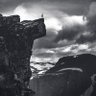 The Apex Human | Primal Science's profile picture