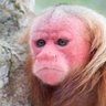 RucRobson's profile picture