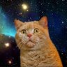 Roy Liu's profile picture