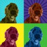 johnniedirect's profile picture