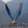 Mls profil fotoğrafı