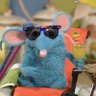 Profilbild von Tutter (Alpha Mouse)