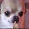 Profilbild von Rudeboyreloaded1