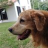 JosM profil fotoğrafı